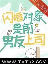 《闪婚对象是前男友上司》全本TXT下载-作者：解冻湖水