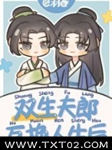 双生夫郎互换人生后图片