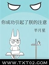 《你成功引起了朕的注意》全本TXT下载-作者：半月星