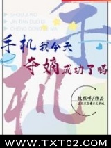手机我今天夺嫡成功了吗