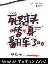 《死对头互相替身翻车了》全本TXT下载-作者：林见树