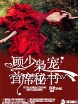 顾少枭宠首席秘书