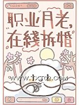 《职业月老，在线拆婚》全本TXT下载-作者：观山见石