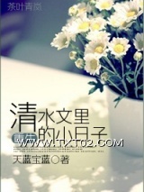 《重生清水文里的小日子》全本TXT下载-作者：天蓝宝蓝