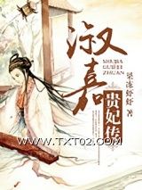 《淑嘉贵妃传》全本TXT下载-作者：果冻虾虾