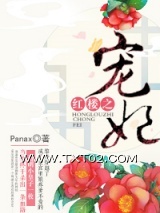 《红楼之宠妃》全本TXT下载-作者：Panax
