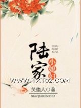 《陆家小媳妇》全本TXT下载-作者：笑佳人