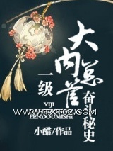 一级大内总管奋斗秘史