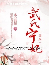 武氏宁妃（康熙）图片