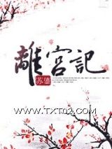 《离宫记》全本TXT下载-作者：苏鎏
