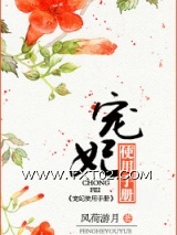 宠妃使用手册