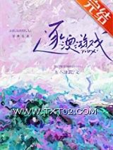 《逐澳游戏》全本TXT下载-作者：玉不逐流