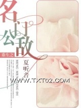 重生之名门公敌