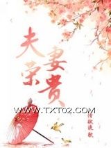 《夫荣妻贵》全本TXT下载-作者：清越流歌