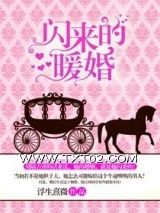 《闪来的暖婚（高干）》全本TXT下载-作者：浮生熹微