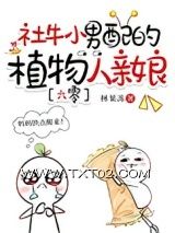 《社牛小男配的植物人亲娘[六零]》全本TXT下载-作者：林果冻