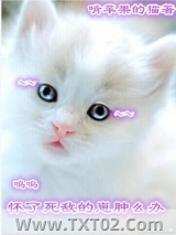 怀了死敌的崽肿么办