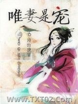 《唯妻是宠》全本TXT下载-作者：海的挽留