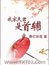 我家夫君是首辅图片
