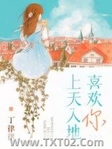 《上天入地喜欢你》全本TXT下载-作者：丁律律