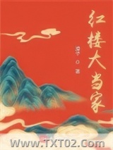 红楼大当家图片