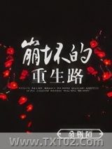 崩坏的重生路图片