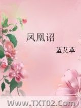 凤凰诏图片