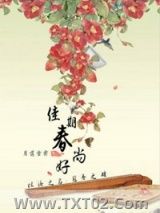 《穿越之佳期春尚好》全本TXT下载-作者：月落雪霁