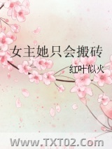 女主她只会搬砖