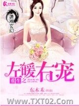 《重生之左暖右爱》全本TXT下载-作者：东木禾