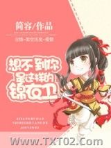 《想不到你是这样的锦衣卫》全本TXT下载-作者：简容