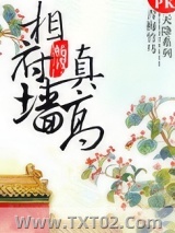 相府墙真高