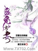 《盛宠妒妻》全本TXT下载-作者：碧玉妆妆