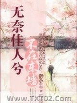《无奈佳人兮不在东墙》全本TXT下载-作者：舒小二