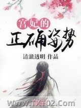《宫妃的正确姿势》全本TXT下载-作者：朽木刁也