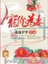 《宠你为妻》全本TXT下载-作者：魂缘伊梦