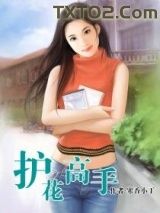 《护花高手》全本TXT下载-作者：寒香小丁