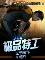 《极品特工》全本TXT下载-作者：流牙
