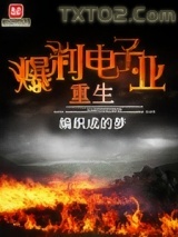 重生爆利电子业