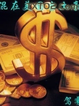 混在美国当土豪