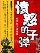 愤怒的子弹图片