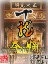 十龙夺嫡