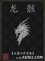 龙骸