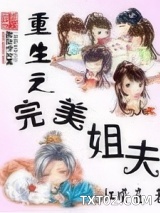 重生之完美姐夫