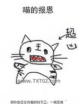 喵的报恩图片