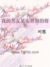 我的男友是东晋朝的将军图片