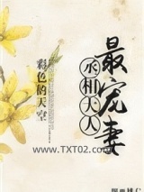 丞相大人最宠妻图片