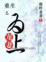 重生之宠妻为上图片