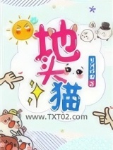 地头猫图片