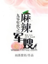 九零年代之麻辣军嫂